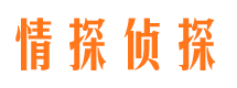 滨海侦探公司